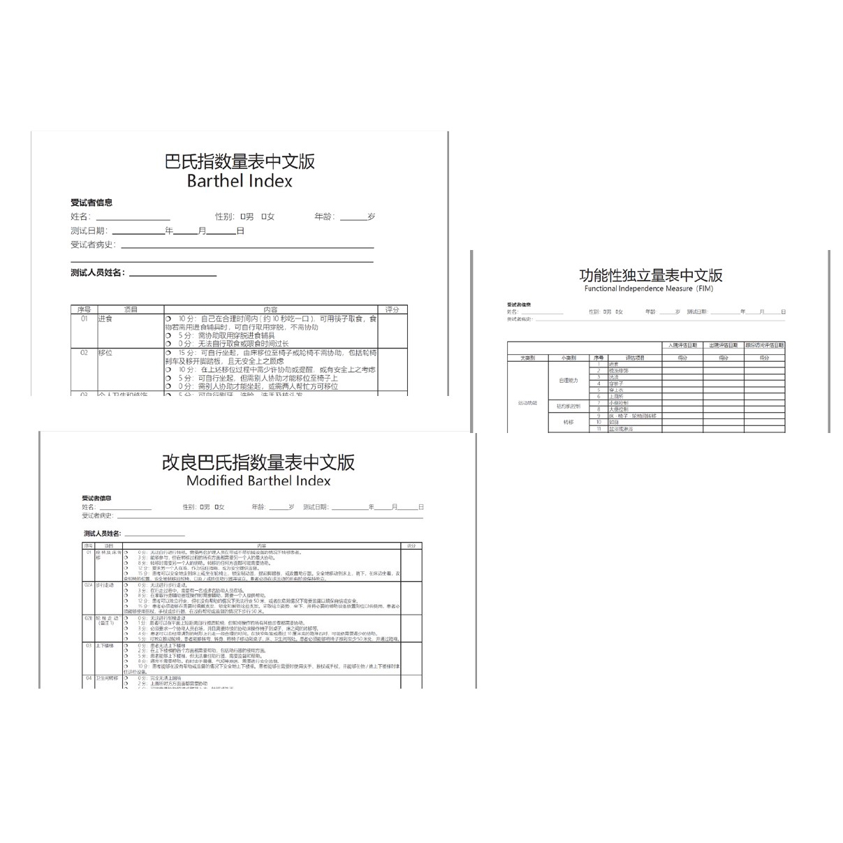 日常生活活動(dòng)能力評(píng)定量表